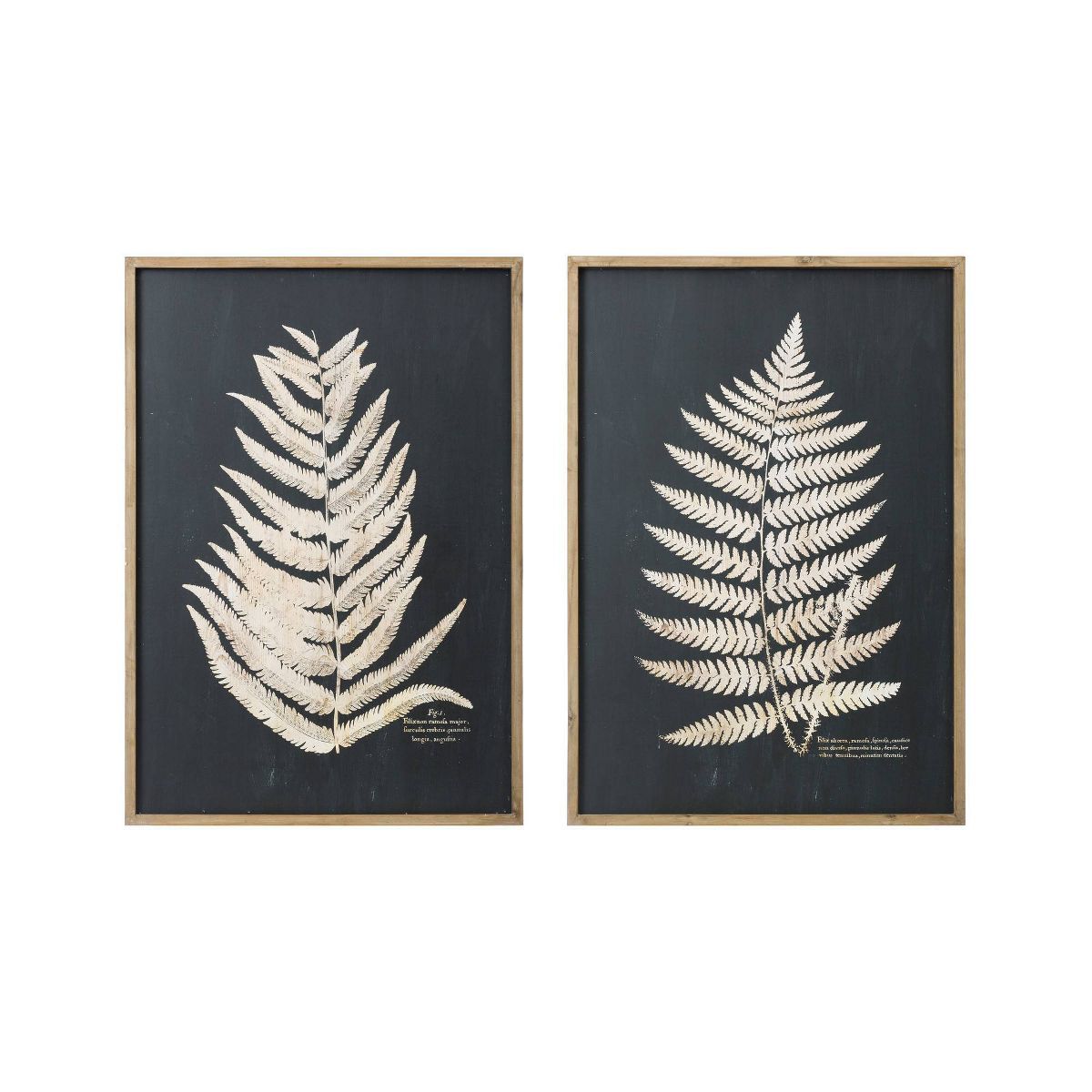 27.5" x 39.3" (Set of 2) Styles Wood Framed Decorative Wall Art with Fern Leaf - Storied Home | Target
