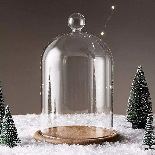 8 Inch Clear Glass Dome Cloche with Rustic Wooden Base, 8", Brown | Amazon (US)