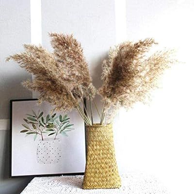DaPlug 58CM Dried Pampas Grass Natural Pampas Grass Decoration Fluffy Dried Flowers for Vase, Ree... | Amazon (US)