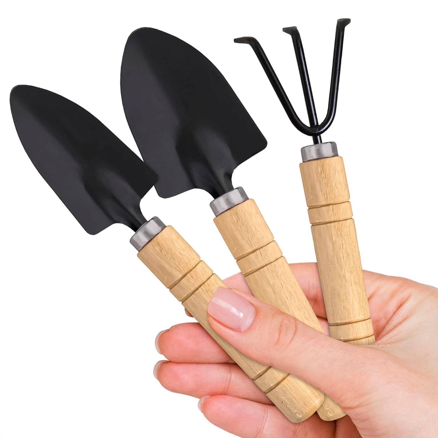 Hand Shovel for Gardening Trowel Garden Tool - 3Pcs Planting Tools Small Garden Rake Ergonomic Ha... | Amazon (US)