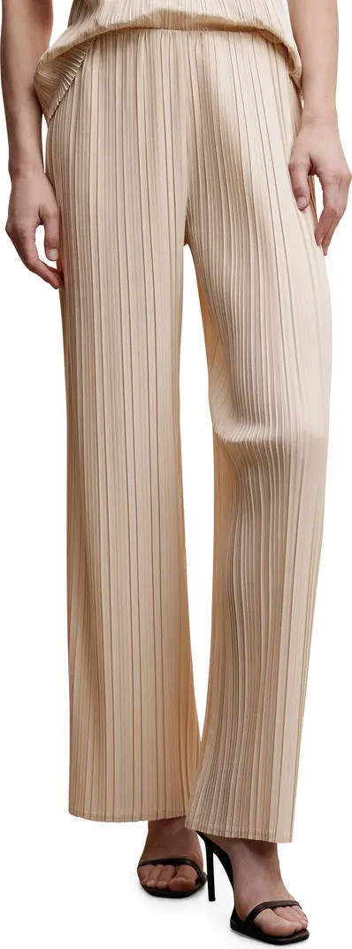 Pleated Wide Leg Pants | Nordstrom