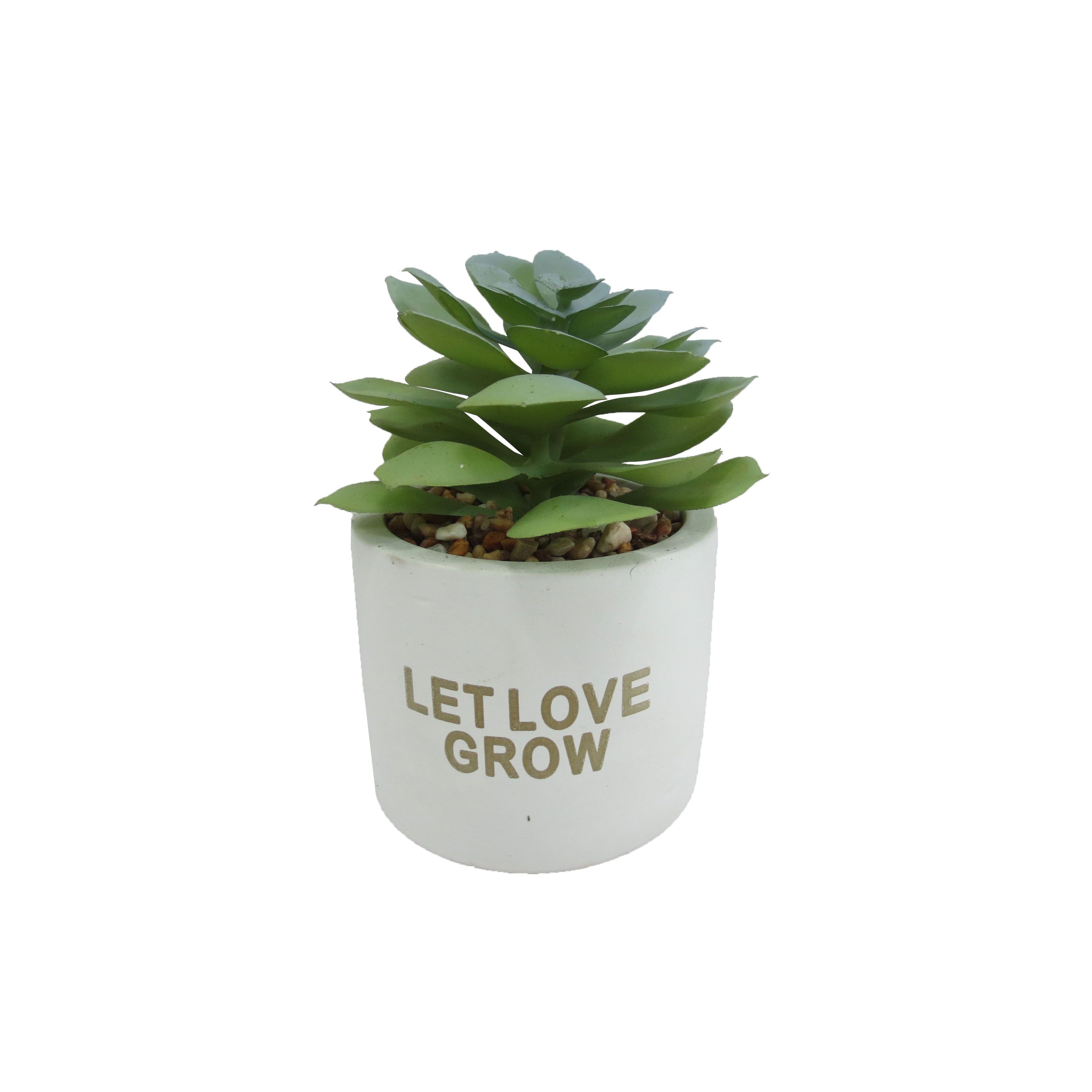 Way To Celebrate Succulent Pot Tt. - Walmart.com | Walmart (US)