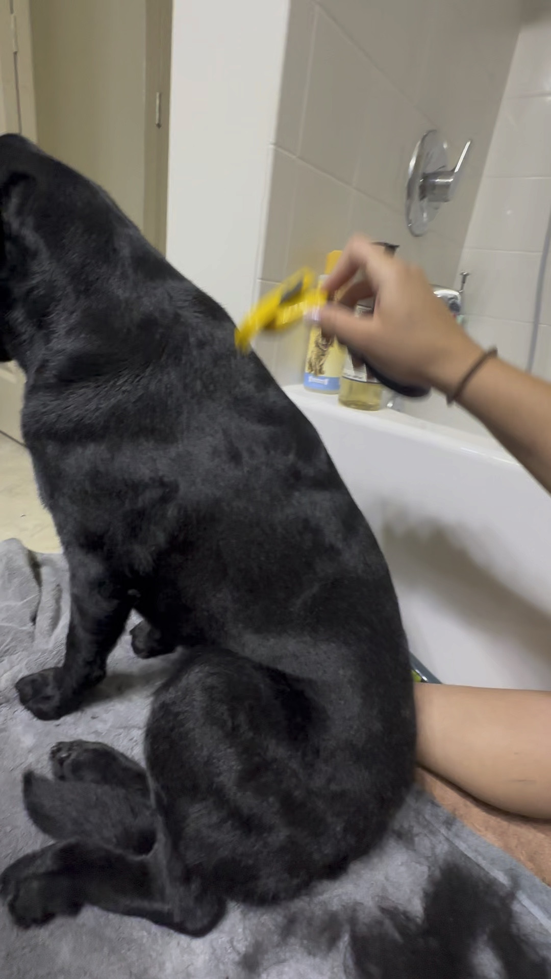 The BEST brush