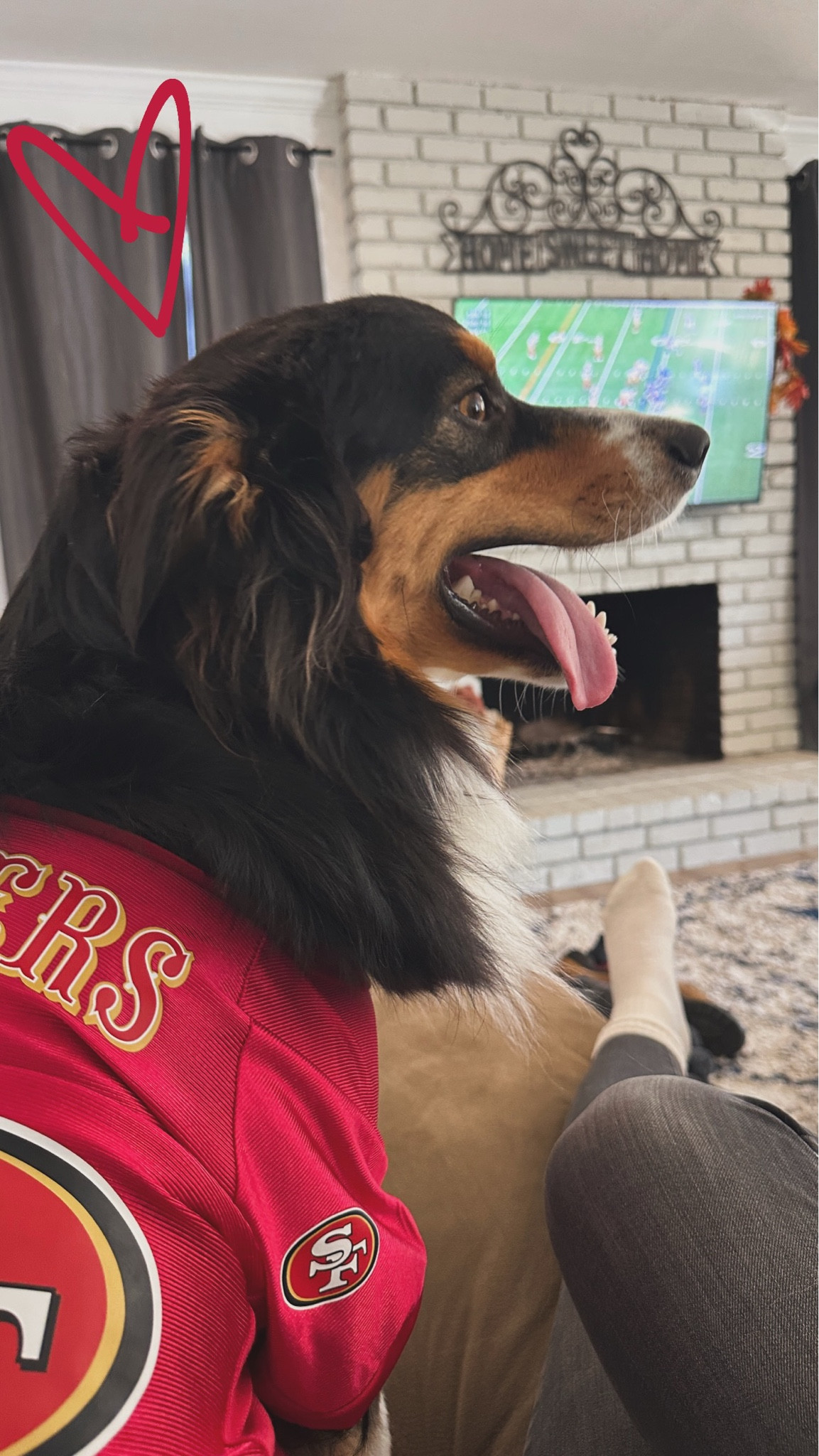 His Sunday uniform ❤️✨
Pet Jerseys: XL (runs small)
.

.

.

.
Australian Shepherd
Pet Jerseys
Pets Sports

#LTKCyberWeek #LTKmomlife #LTKSeasonal