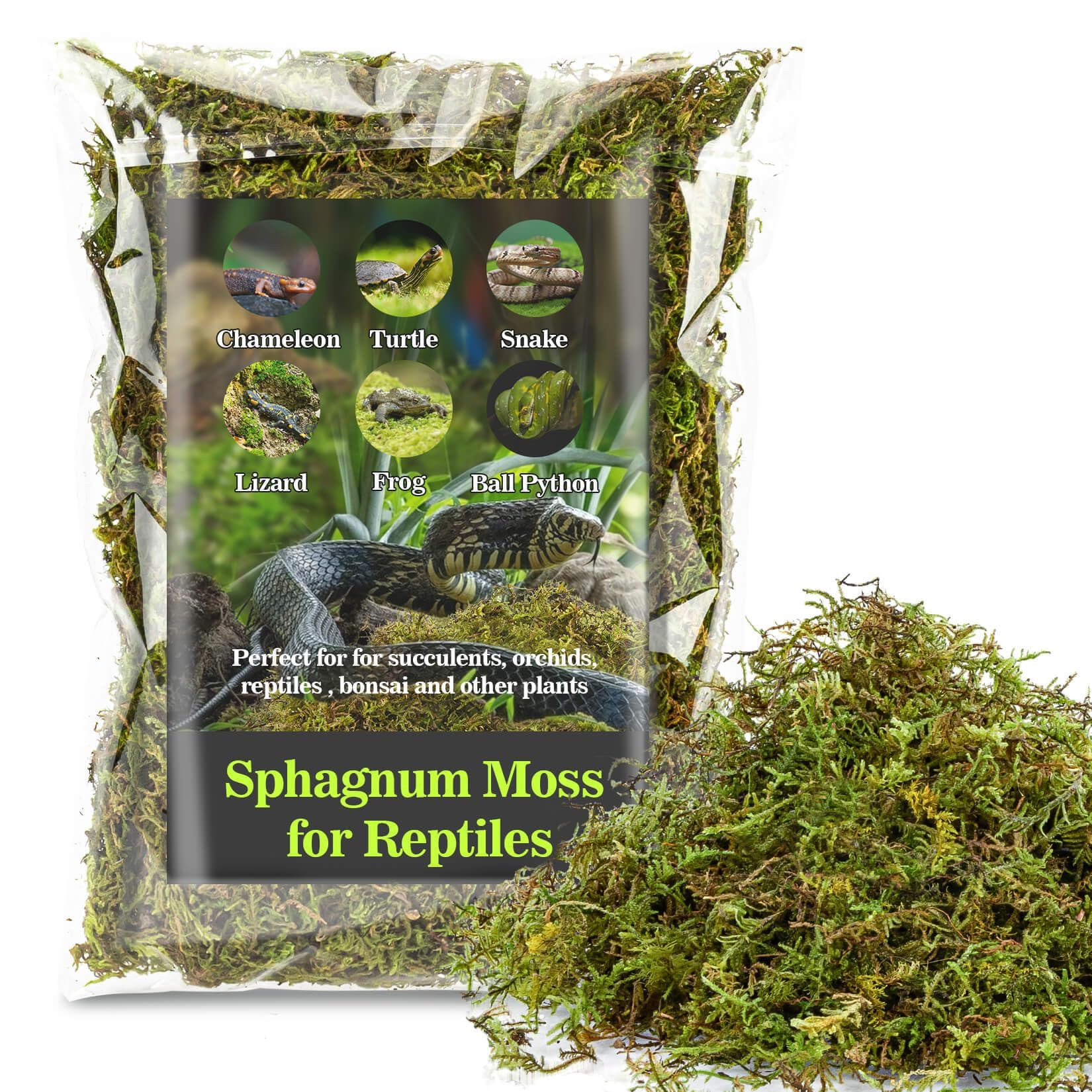 Sukh Sphagnum Moss for Reptiles - Terrarium Reptiles Moss Green Dried Peat Moss Habitat Bedding M... | Amazon (US)