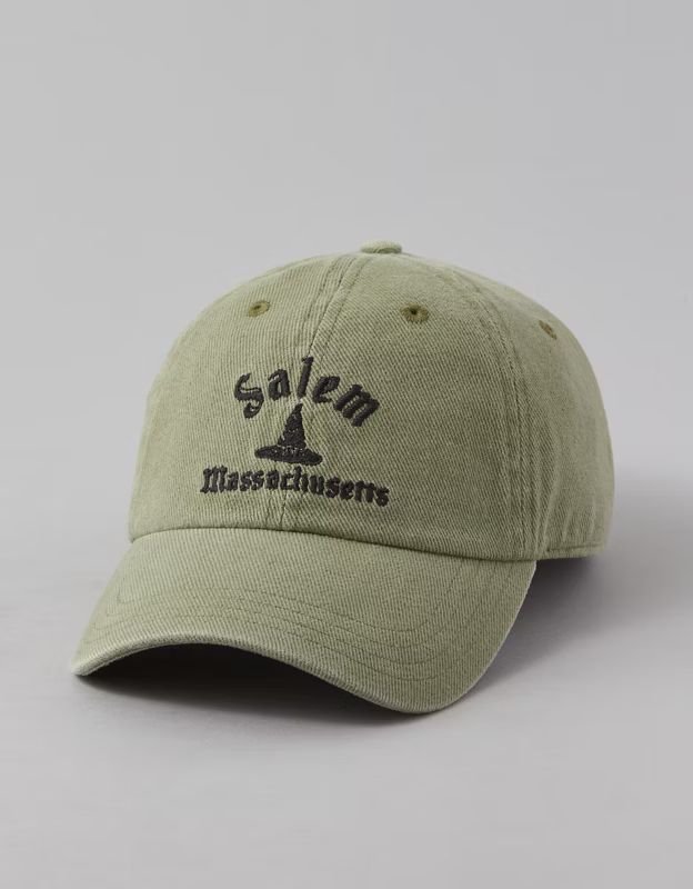 AE Salem Baseball Hat | American Eagle Outfitters (US & CA)