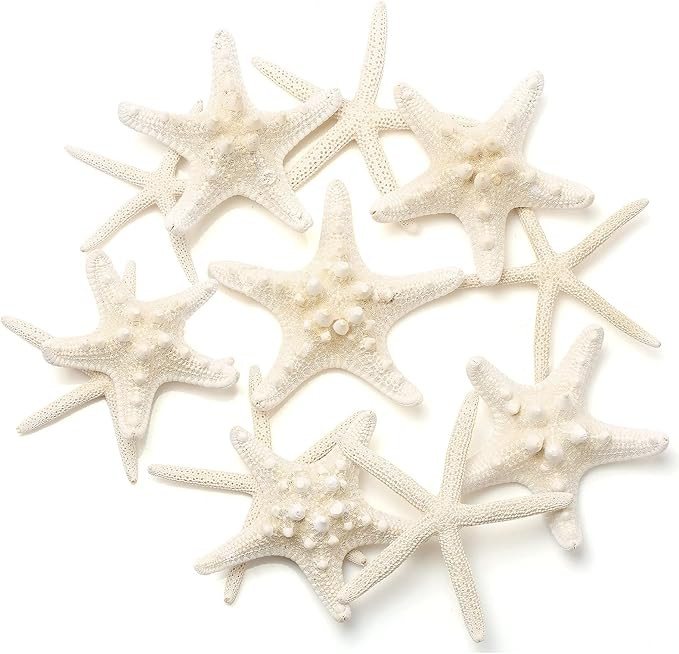 12 PCS Starfish | 2.5-6 Inch Starfish Decor | Natural Bulk Starfish Shells Perfect for Crafts Mak... | Amazon (US)