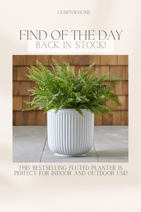 Grab this bestselling fluted planter pot from Walmart ahead of spring before it sells out again for the season!

White planter pot, ribbed planter, reeded planter, patio decor, outdoor decor, Walmart decor, Pottery Barn dupe, budget home

#LTKhome #LTKSeasonal #LTKfindsunder50