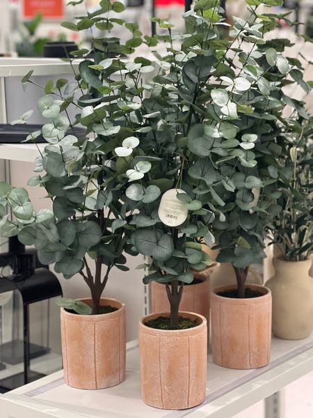 Target find 🎯 faux eucalyptus plant in home decor !!!

#LTKFindsUnder50 #LTKHome #LTKSaleAlert