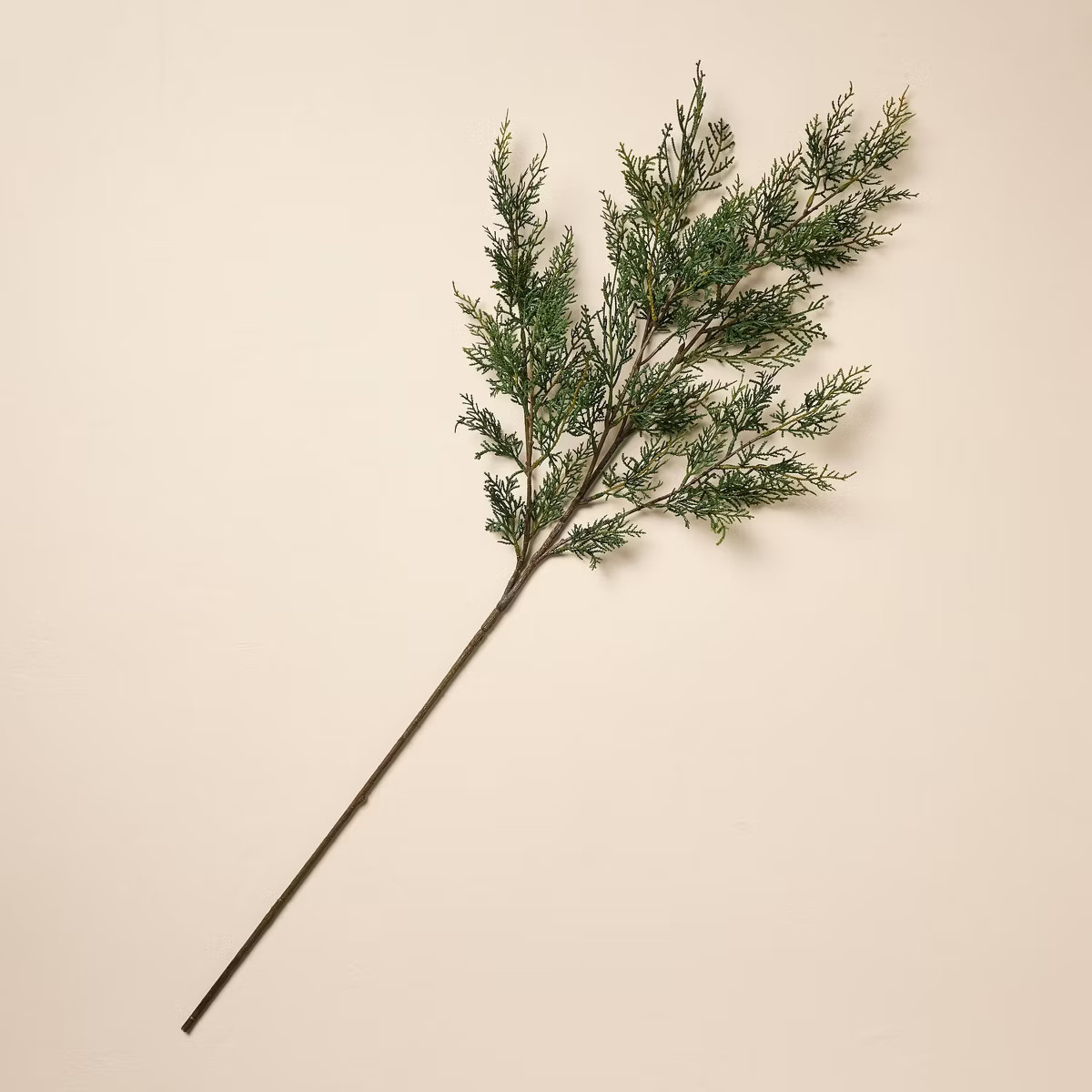 42" Cedar Artificial Branch - Hearth & Hand™ with Magnolia | Target