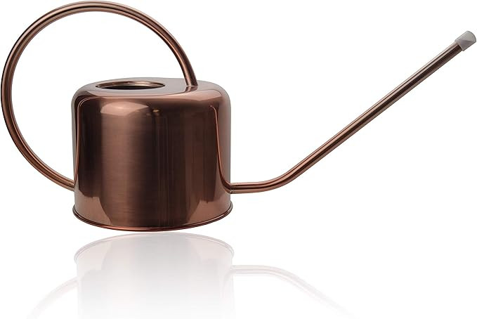 Verde & Sol 40 oz. Stainless Steel Gooseneck Watering Can for Outdoor and House Indoor Plants (Co... | Amazon (US)