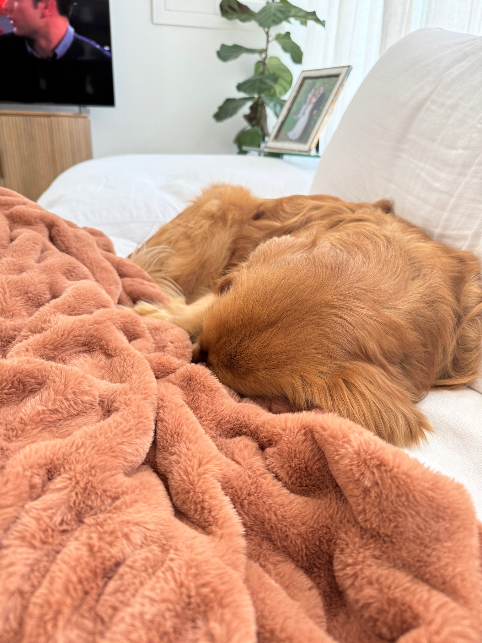 The best blanket to ever exist is on sale for 55% off. This will make the best gift for ANYONE! 🎁

#LTKCyberWeek #LTKSeasonal #LTKHoliday