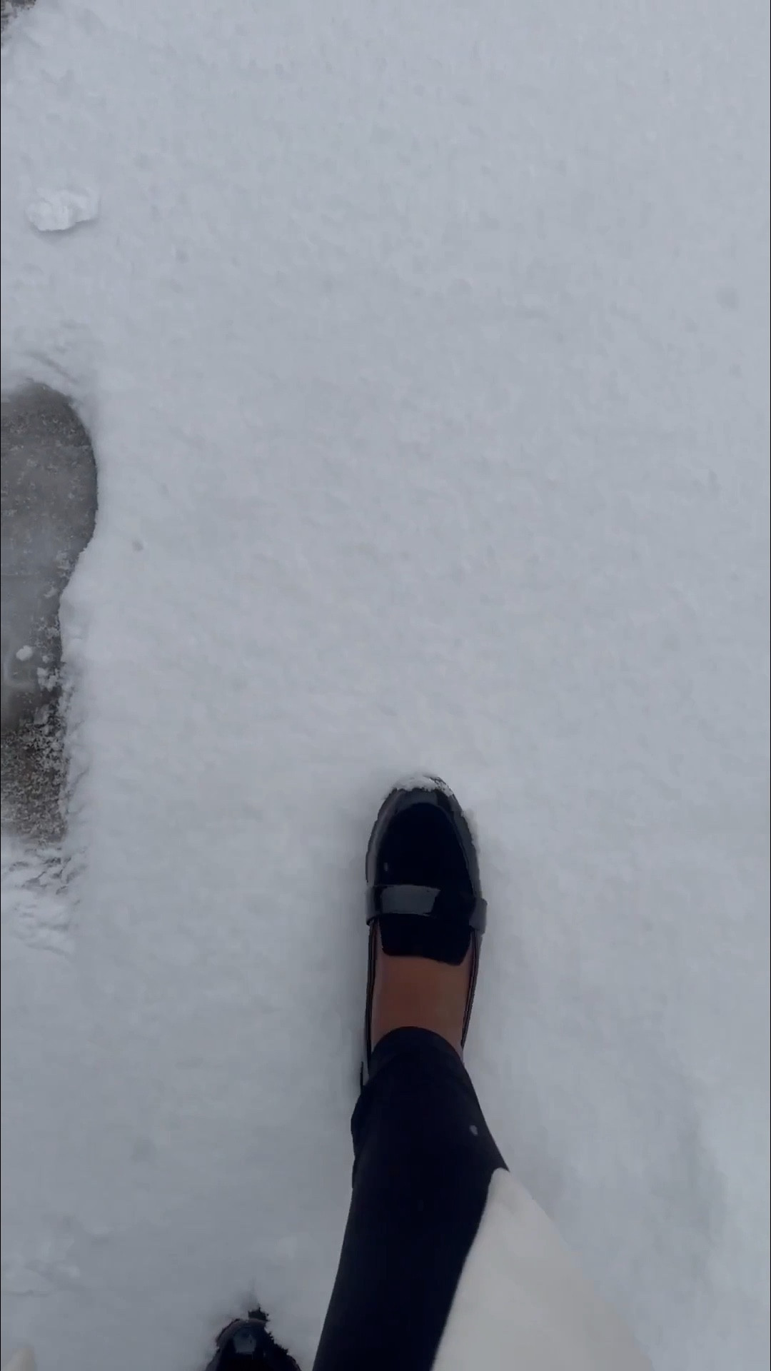 Secretsofyve: the most elegant & comfortable (Dr.Scholl’s) pair of loafers I have owned yet! Got them from @Marshalls, but they are in stock on @Amazon Dress up or down. Wedding guest shoes. Office wear. 
#Secretsofyve #ltkgiftguide
Always humbled & thankful to have you here.. New posts daily at 3pm &4:15pm EST. 
CEO: PATESI Global & PATESIfoundation.org
 @secretsofyve : where beautiful meets practical, comfy meets style, affordable meets glam with a splash of splurge every now and then. I do LOVE a good sale and combining codes! #ltkstyletip #ltksalealert #ltku #ltkover40 #ltkplussize #ltkworkwear #ltkmidsize #ltktravel #ltkdayinmylife #ltkparties #ltkbump #ltkfestival #ltkwedding #ltkpetite #ltkholiday #ltkmomlife #ltkvlog secretsofyve 

#LTKTall #LTKootd #LTKSeasonal