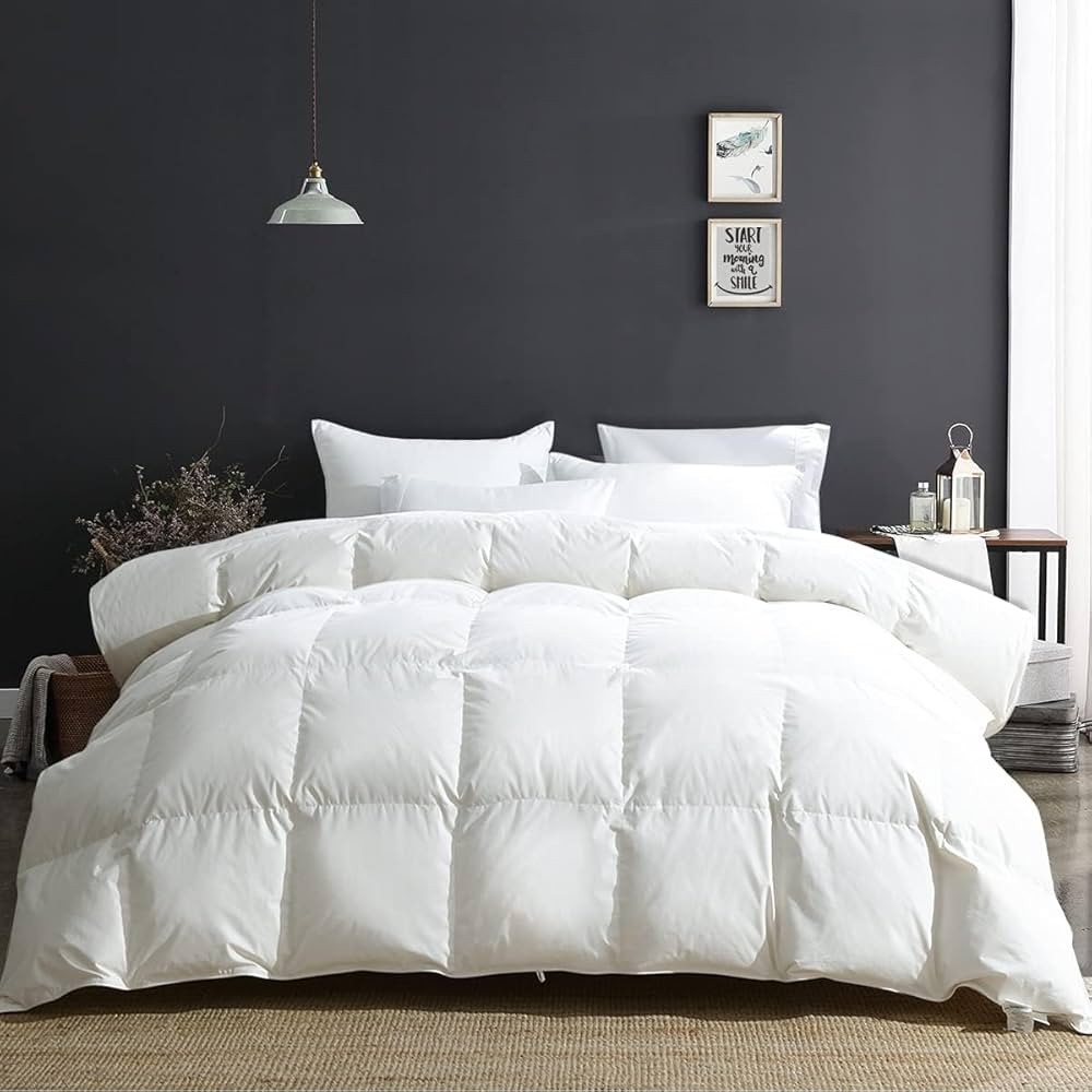APSMILE Luxury Heavyweight Down Feather Fibers Comforter Oversized Queen Size, Thick Duvet for Wi... | Amazon (US)