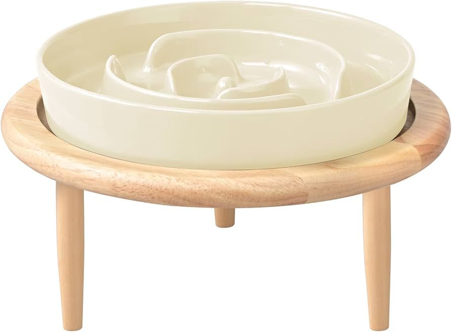 SPUNKYJUNKY Ceramic Elevated Slow Feeder Dog Bowl Raised Dog Bowl to Slow Down Eating for Medium ... | Amazon (US)