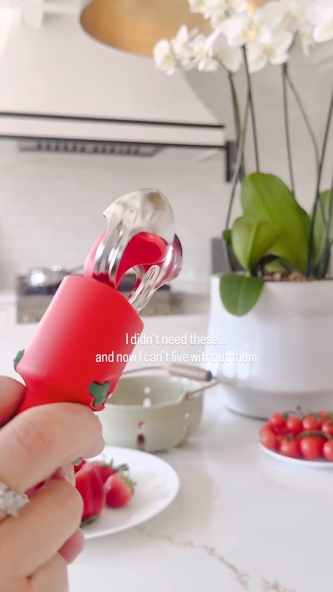 I didn’t need these… until I tried them.
Now they’re part of my daily routine,  
It’s the little kitchen upgrades that make life easier.
Use my code KASIA10 for 10% off if you want to try them too! 

#LTKHome #LTKMothersDay #LTKSaleAlert
