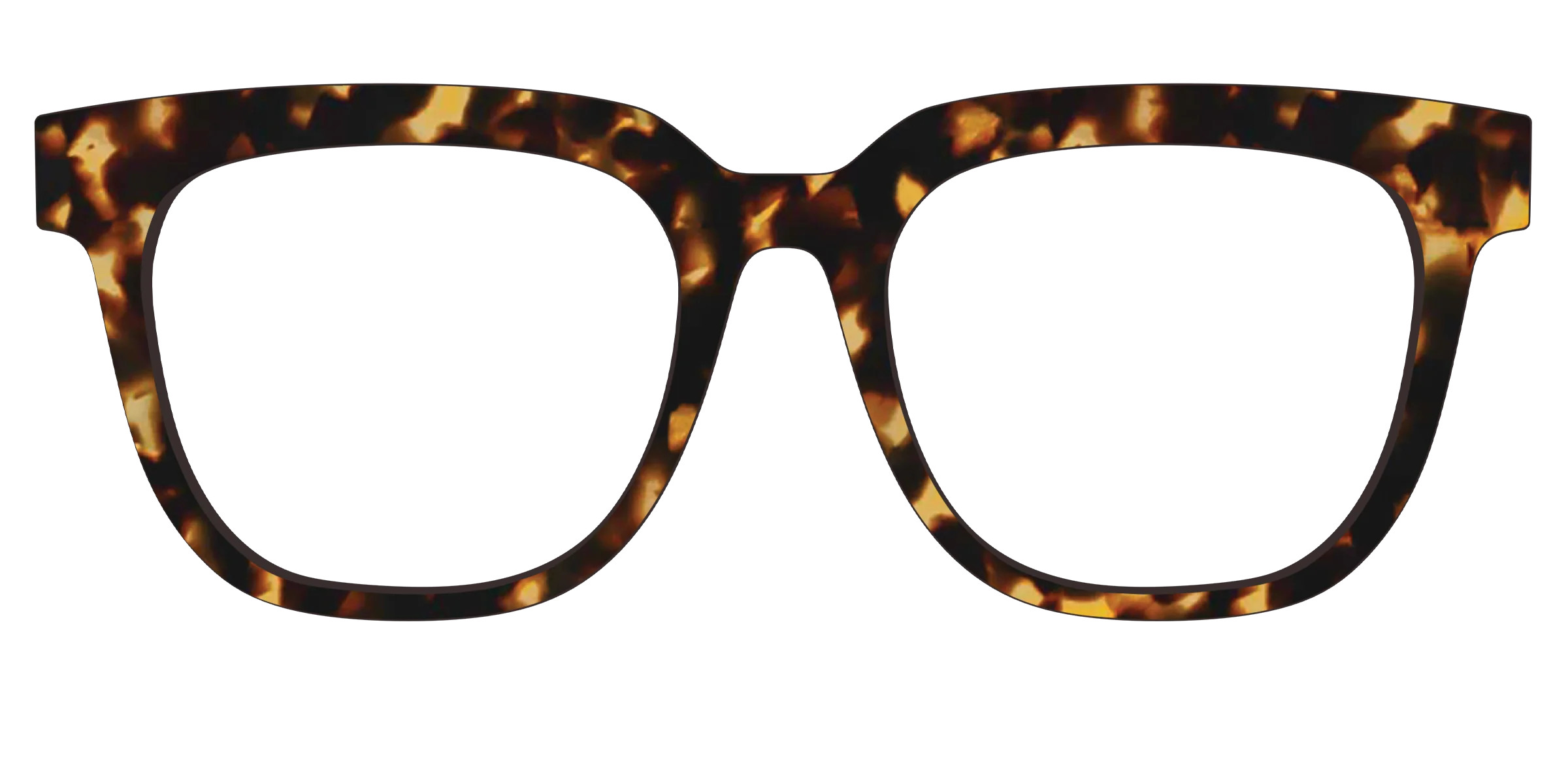 The Tortoise | Pair Eyewear