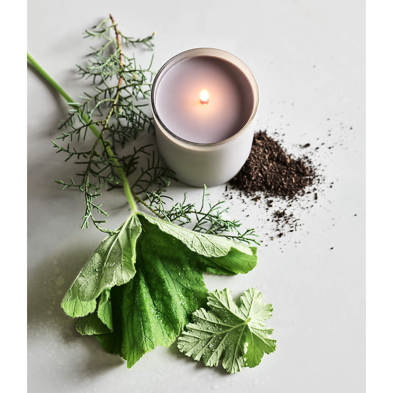 Monochrome No. 5 Rain 1-Wick Scented Candle - Cypress, Geranium and Musk + Reviews | Crate & Barr... | Crate & Barrel