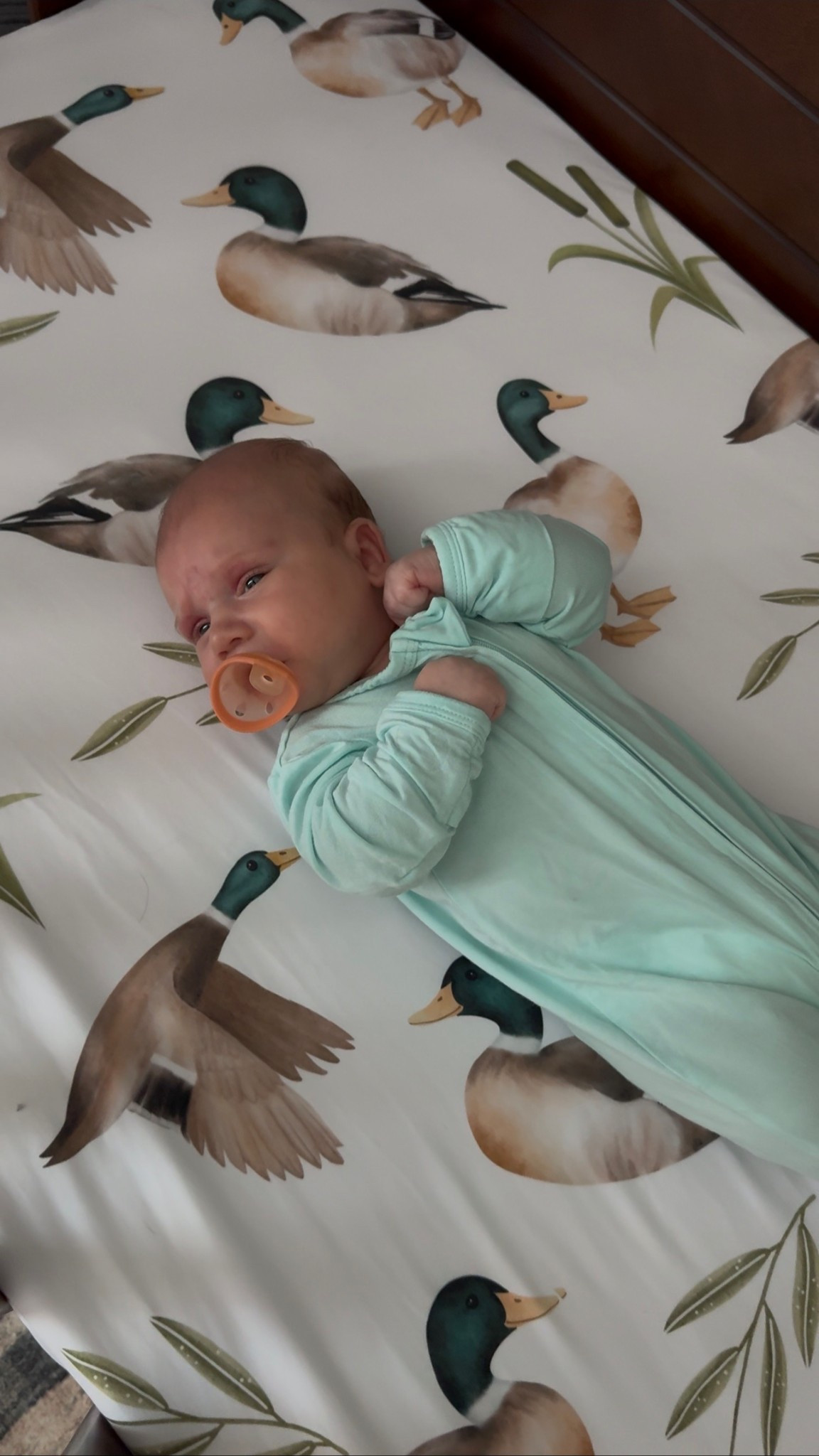 The BEST breast-like pacifier! 👶🏼🍼

#LTKBaby