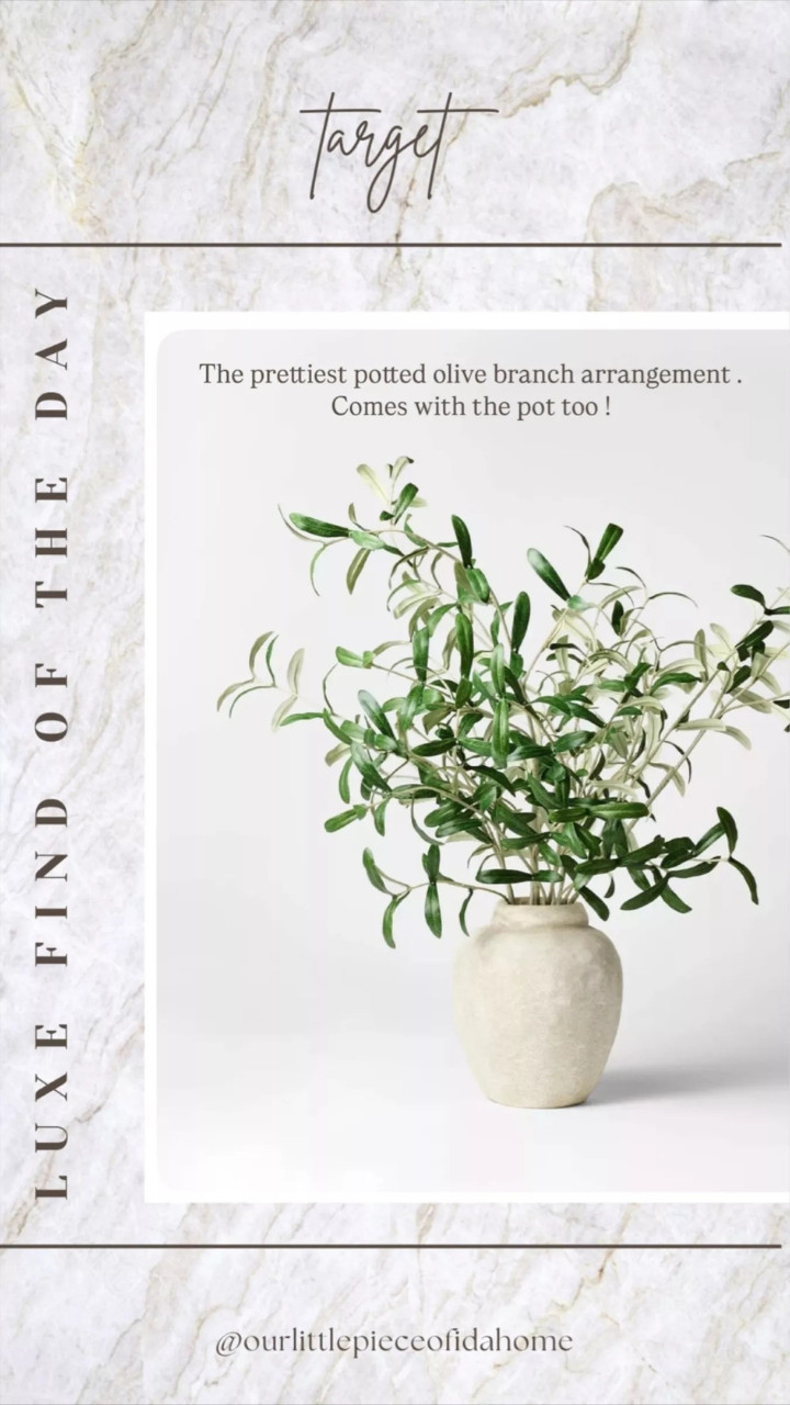 This potted olive tree adds a soft, natural element to the kitchen.
I like it for bringing in height and texture without feeling decorative or styled.
It works well on a counter or open shelf where a little warmth is needed.
Linked here for reference. 

 #LTKU #LTKHome #LTKSaleAlert