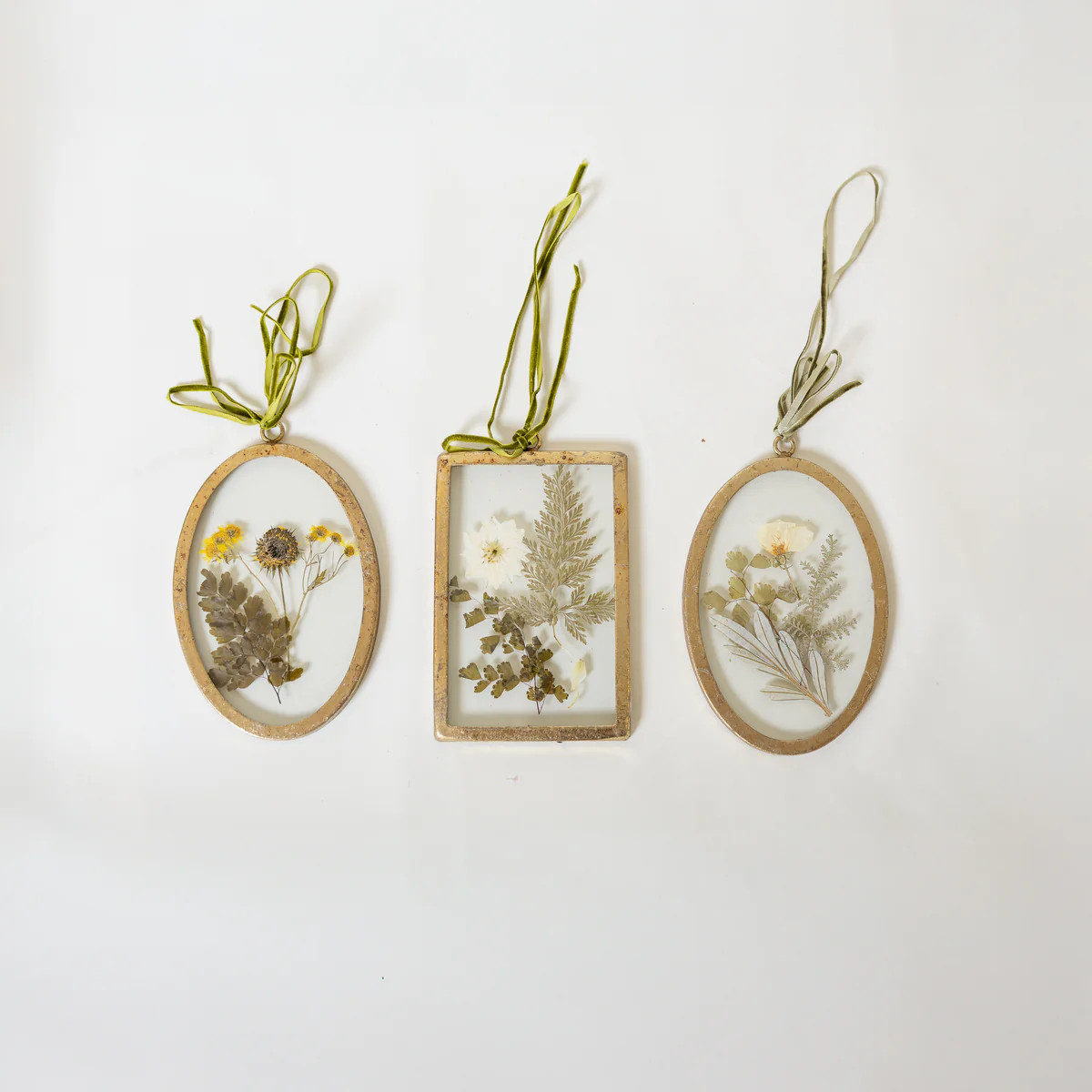 Through the Window Botanical Ornament | Purple Rose & Co