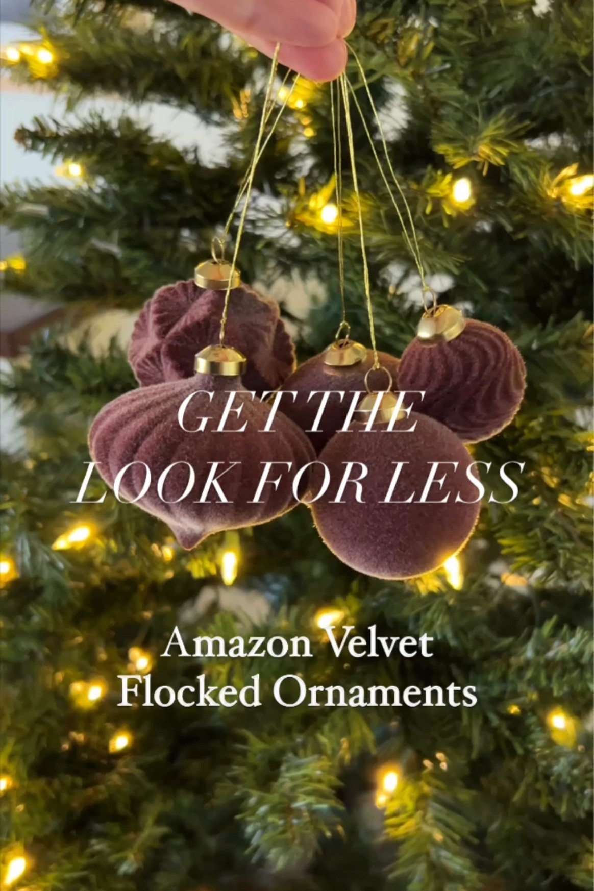 Get the look for less! These velvet ornaments are such a good dupe. They come in a pack of 35 with assorted sizes and designs. So excited about this Christmas find!

#LTKFindsUnder50 #LTKHoliday #LTKSeasonal