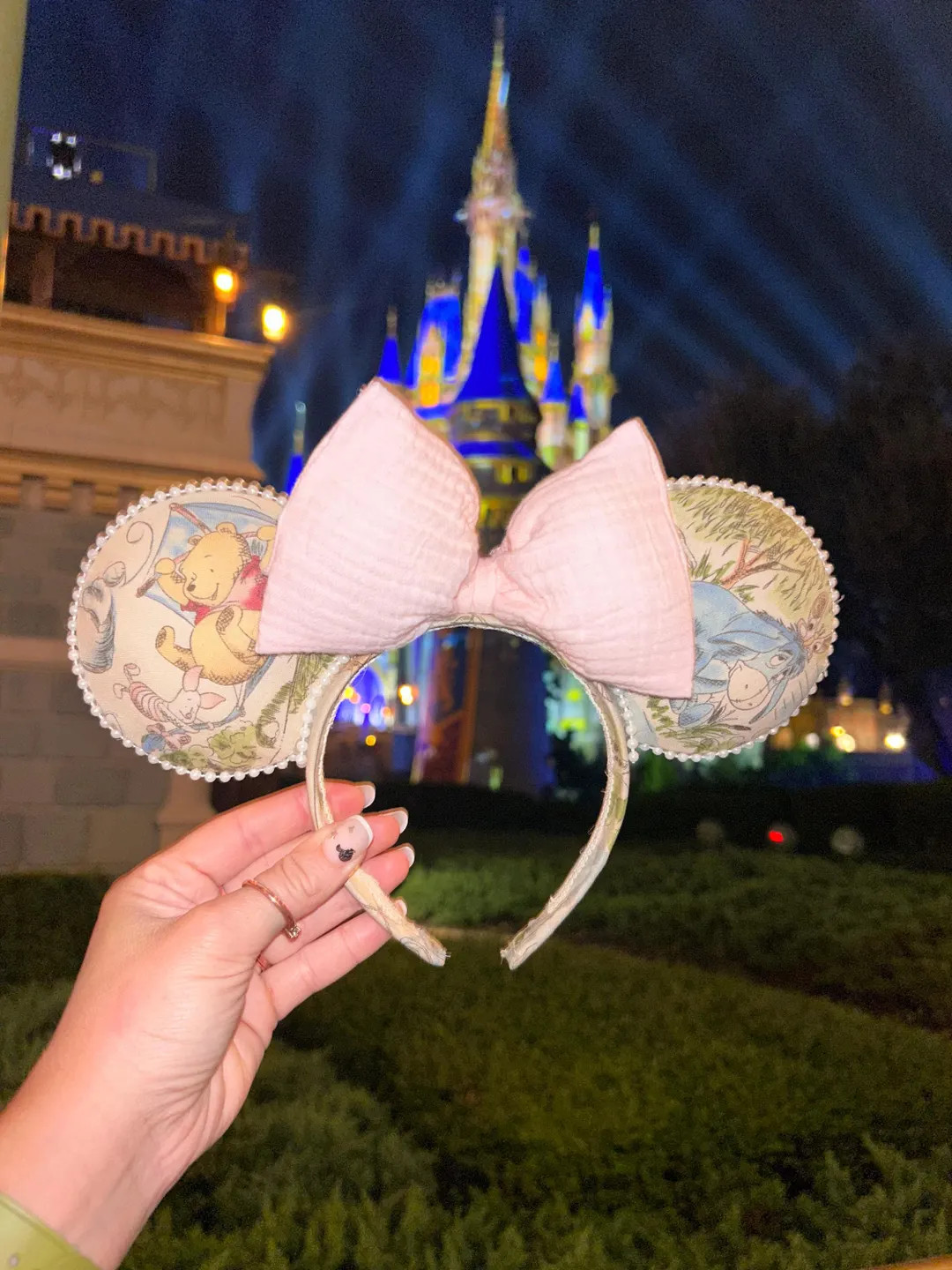 Winnie-the-Pooh, Eeyore, Disney Inspired Mickey Ears | Etsy (US)