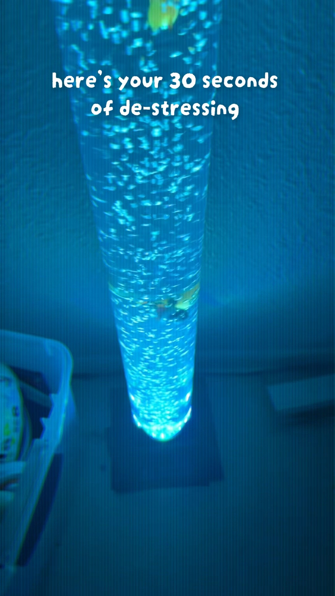 Transform any room into a calming underwater escape 🌊✨ The Aquarium Sensory Fish Bubble Light Tube with 16 LED color-changing effects creates the ultimate relaxing vibe for bedrooms, offices, sensory spaces, and nightstands 🐠💙
Fish tank lights are known to help reduce stress, improve relaxation, support sensory stimulation, and create a peaceful atmosphere — without the maintenance of a real aquarium! Perfect for kids, adults, autism sensory rooms, anxiety relief, meditation, sleep support, and home décor 🌈
✨ Features:
🐟 Realistic bubbling fish movement
🌈 16 LED color-changing nightlight effects
🧘 Calming sensory experience
💤 Relaxing sleep ambiance
🏡 Beautiful home & office décor
Add instant tranquility and aesthetic vibes to your space 💫
#AquariumLight #SensoryLight #BubbleTube #FishTankDecor #LEDNightLight #CalmingLights #Relaxation #SensoryRoom #AutismSupport #StressRelief #AnxietyRelief #HomeDecor #BedroomAesthetic #TikTokMadeMeBuyIt #NightLight #MoodLighting #FishTankBenefits #AquariumVibes #RelaxingDecor #SleepAid

#LTKmomlife #LTKselfcare #LTKHome