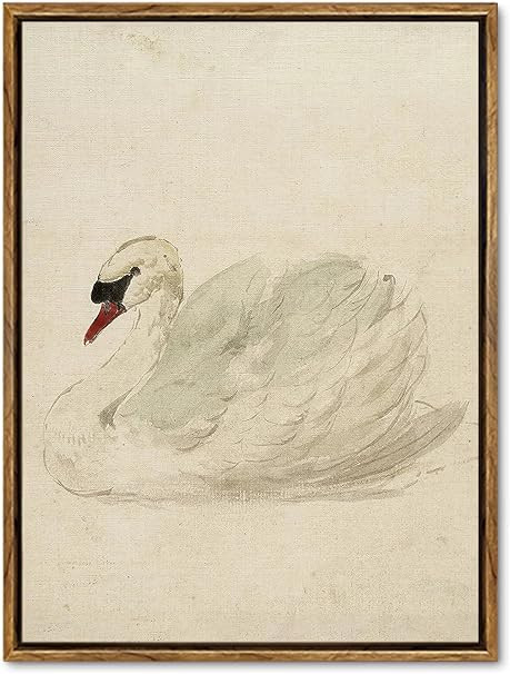Vintage Frame Swan Canvas Mural Classic White Swan Watercolor Canvas Animal Canvas Printing Rural... | Amazon (US)