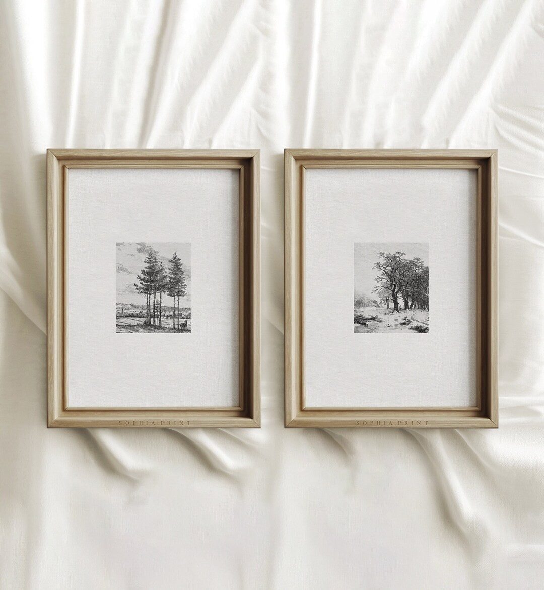 Vintage Etching Print Set Tree Sketch Art Forest Drawing - Etsy | Etsy (US)