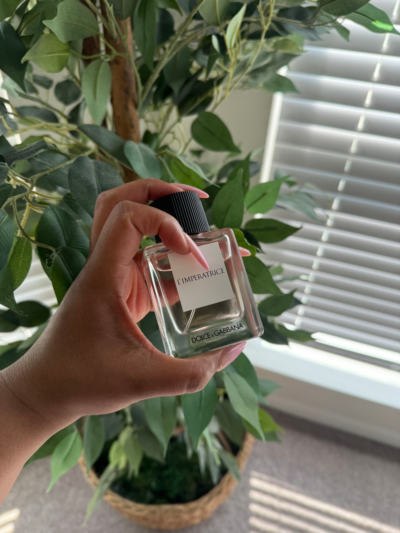 Fragrance of the Day! #Sephora #DOLCE&GABBANA

#LTKBeauty #LTKselfcare #LTKU