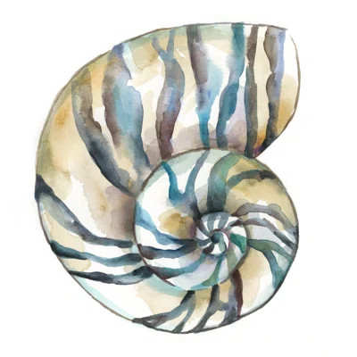 'Aquarelle Shells II' Painting on Canvas Highland Dunes Size: 12" H x 12" W x 1.25" D | Wayfair North America