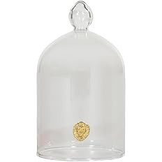 Alice Lane Glass Cloche – Clear Glass Dome Display Case for Home Decor, Centerpieces, Candles, ... | Amazon (US)