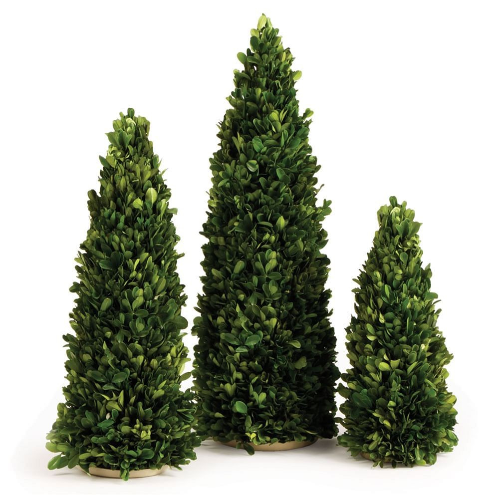 Boxwood Mini Trees, 36"H, Set of 3 | West Elm (US)