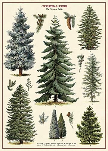 Cavallini & Co. Christmas Tree Chart Decorative Paper Sheet | Amazon (US)