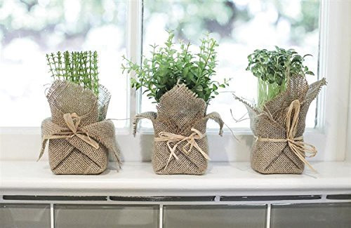 Burlap Wrapped Artificial Potted Herb Set of 3 Assorted Artificial Plants Country Home Kitchen D | Amazon (US)