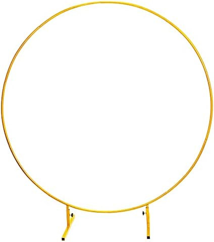 LANGXUN Φ7.2ft (2.2m) Large Size Golden Metal Round Balloon Arch kit, for Birthday Party Decorat... | Amazon (US)