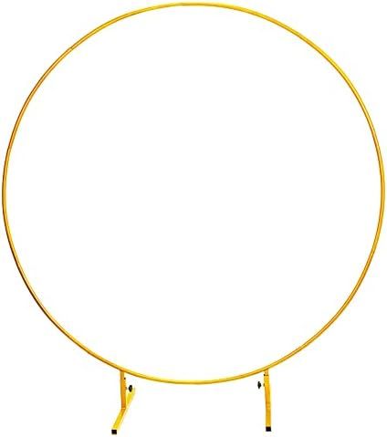 LANGXUN Φ7.2ft (2.2m) Large Size Golden Metal Round Balloon Arch kit, for Birthday Party Decorat... | Amazon (US)