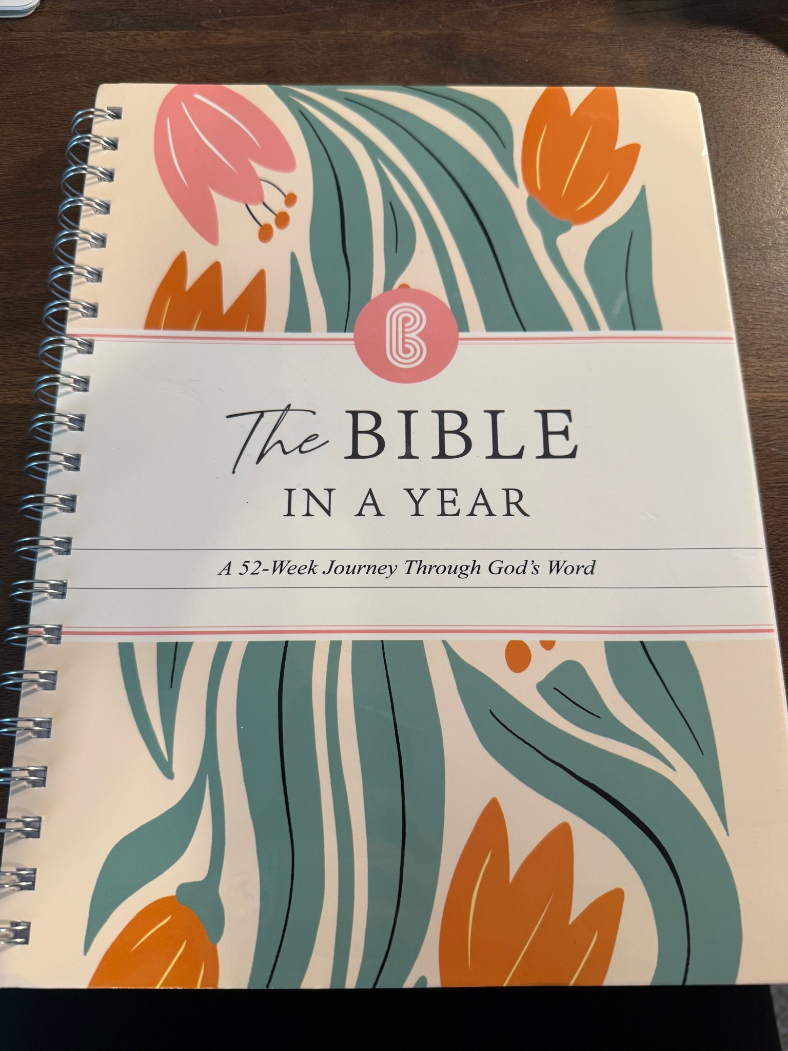 Love love love spending time studying the Bible each morning with the help of this book!

Bible study book, Christian, study the Bible, The Bible In A Year, God's Word, devotional 

 #LTKGiftGuide #LTKHome