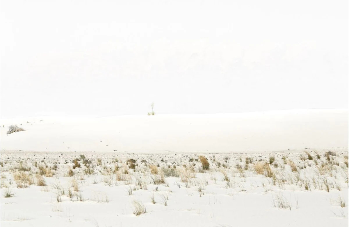 Desert Sand | Collection Prints