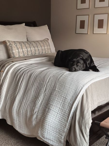 A blanket so good, even the dog can’t get enough! Our 365 blanket from @muslincomfort is nothing short of amazing. It’s the most comfortable & breathable comforter replacement ever created. Perfect for both hot & cold sleepers with their 100% muslin cotton. No wonder our Lab/Husky loves it! #ad #muslincomfort #the365blanket #kendrainc 



#LTKstyletip #LTKhome #LTKGiftGuide