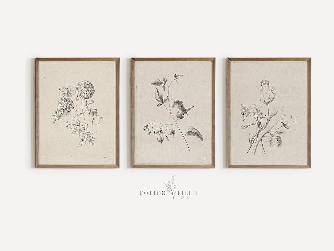 Vintage Floral Print Set of 3 Printable Botanical Print Set Farmhouse Wall Art Spring Wall Art PR... | Etsy (UK)
