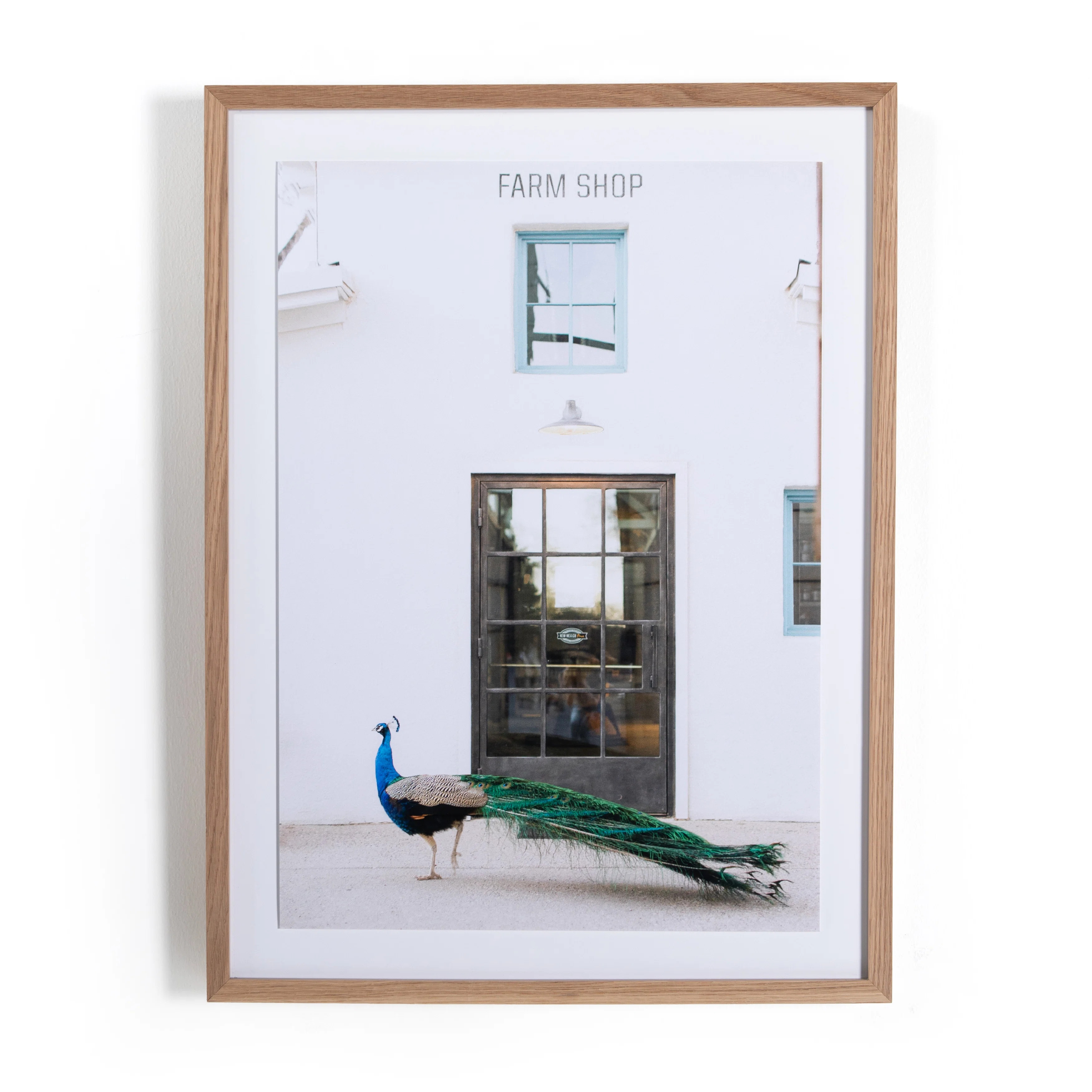 Four Hands Art Studio Peacock by Sarah Ellefson - Picture Frame Photograph | Wayfair | Wayfair North America