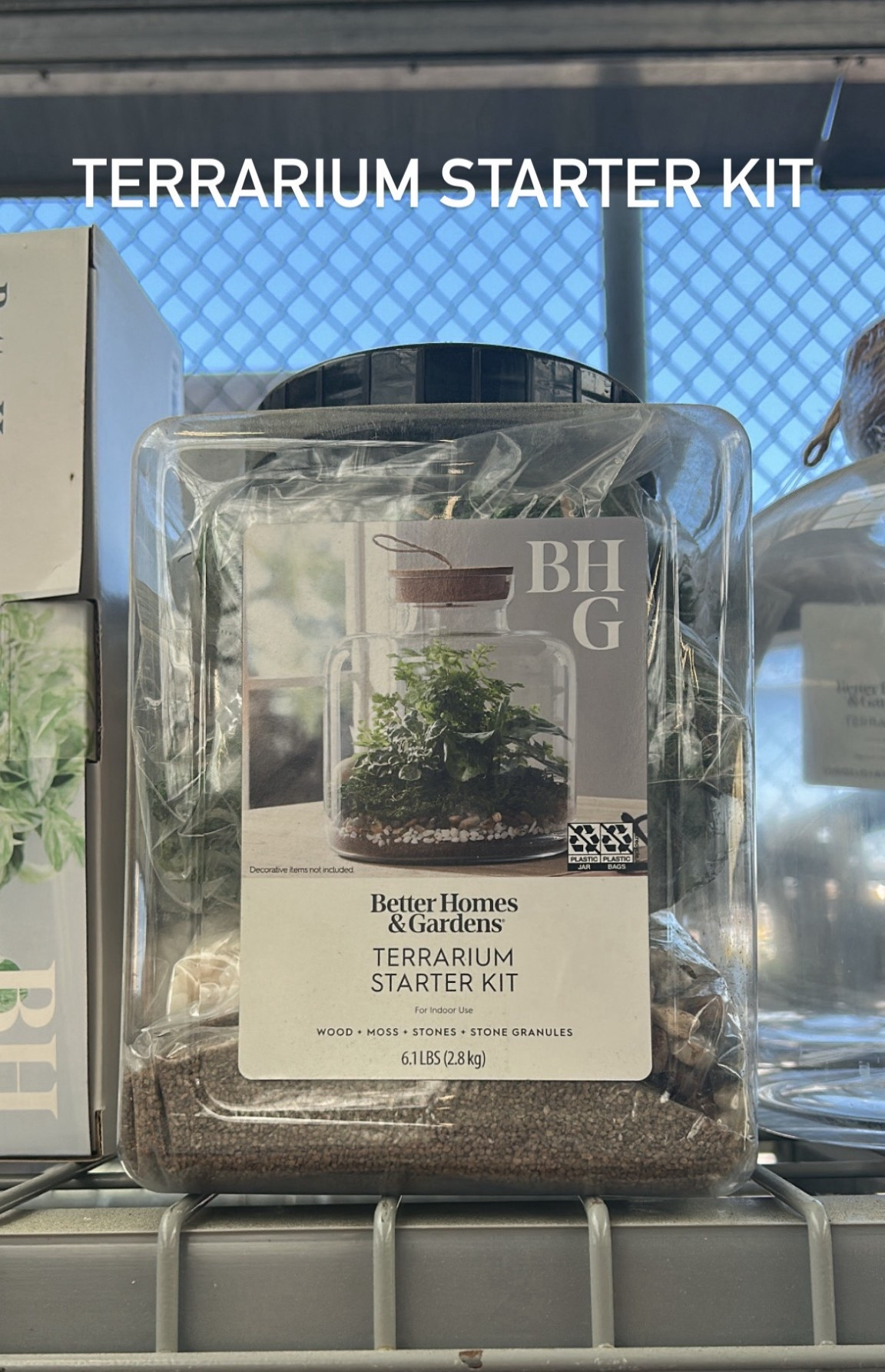 Terrarium starter kit #LTKplants #LTKpots #LTKplant 

#LTKHome