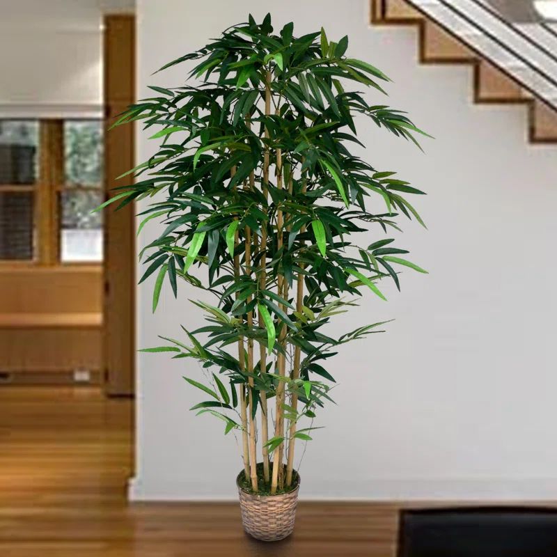72" Tall High End Realistic Silk Bamboo Tree in Basket | Wayfair Professional
