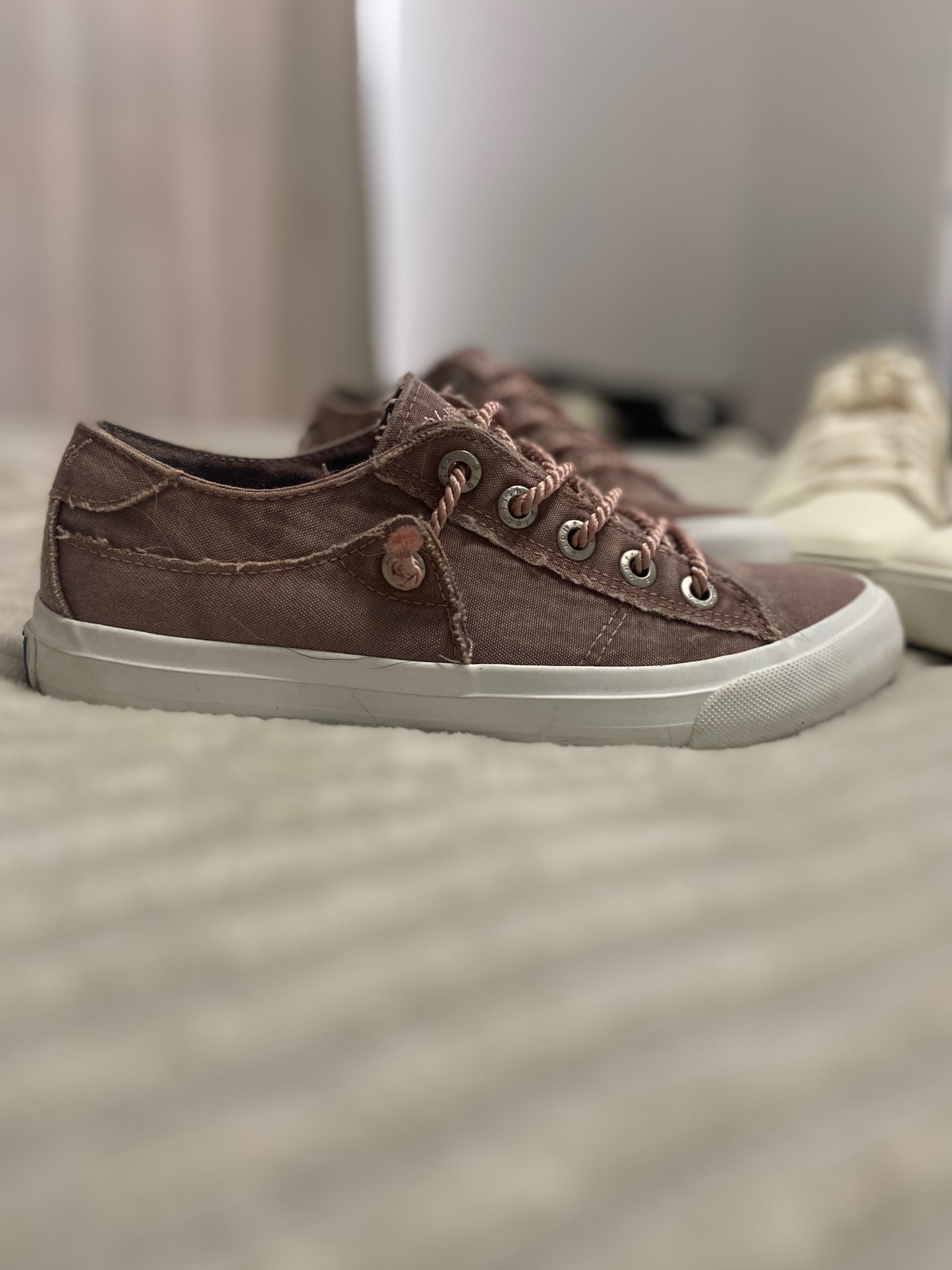 Just got my first pair of Blowfish Malibu sneakers! So comfy! Similar shoes linked below. 

#sneakers #blowfish

#LTKshoecrush #LTKfindsunder50