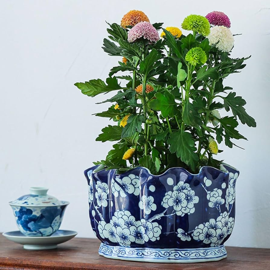 Chinoiserie Blue and White Porcelain Decorative Flower Pot Ceramic Planter Pot with Drainage Hole... | Amazon (US)