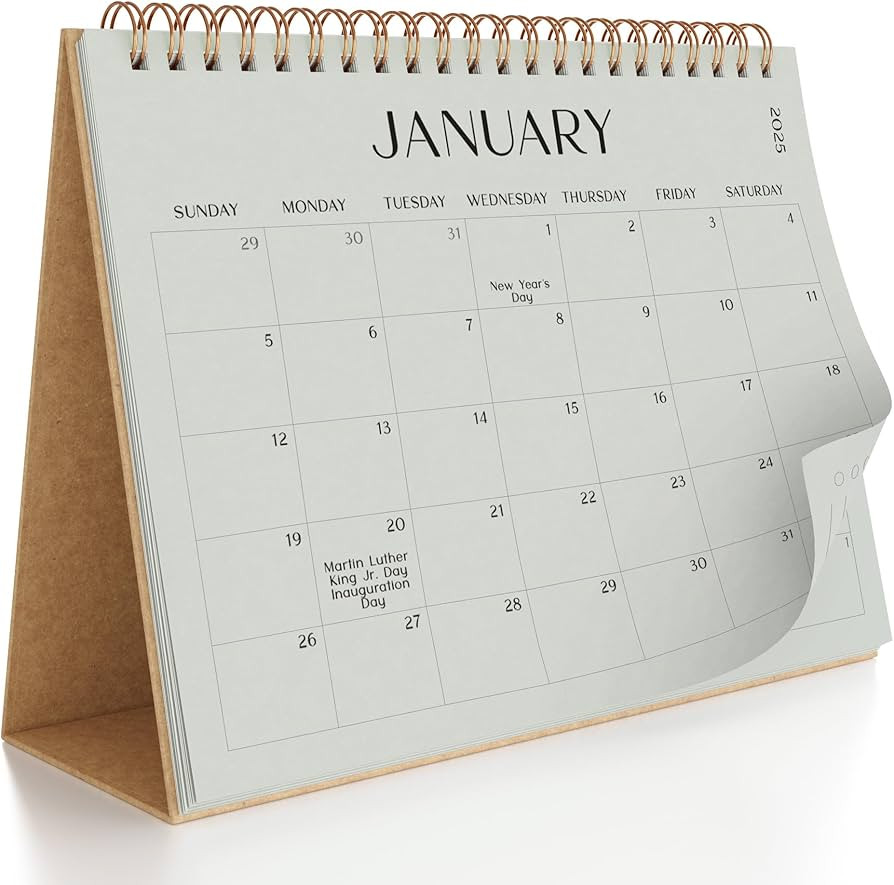 Aesthetic Desk Calendar 2025 - Runs from August 2024 until June 2026 - Beautiful Small 2024-2025 ... | Amazon (US)