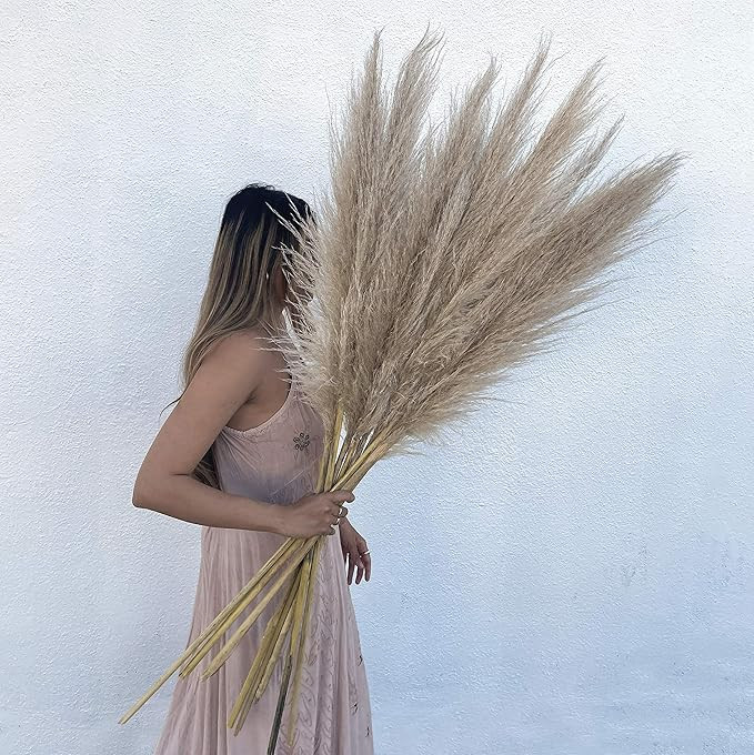 PeachLA Pampas Grass, 5 Stems 36-48" (3-4 FT) Tall Dried Natural Dried Plants, Extra Fluffy Premi... | Amazon (US)