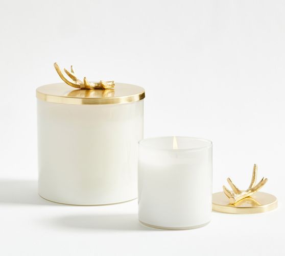Stag Gold Lidded Scented Candle - Winter Spruce | Pottery Barn (US)